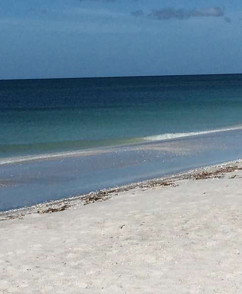 Pristine shoreline with calm turquoise water