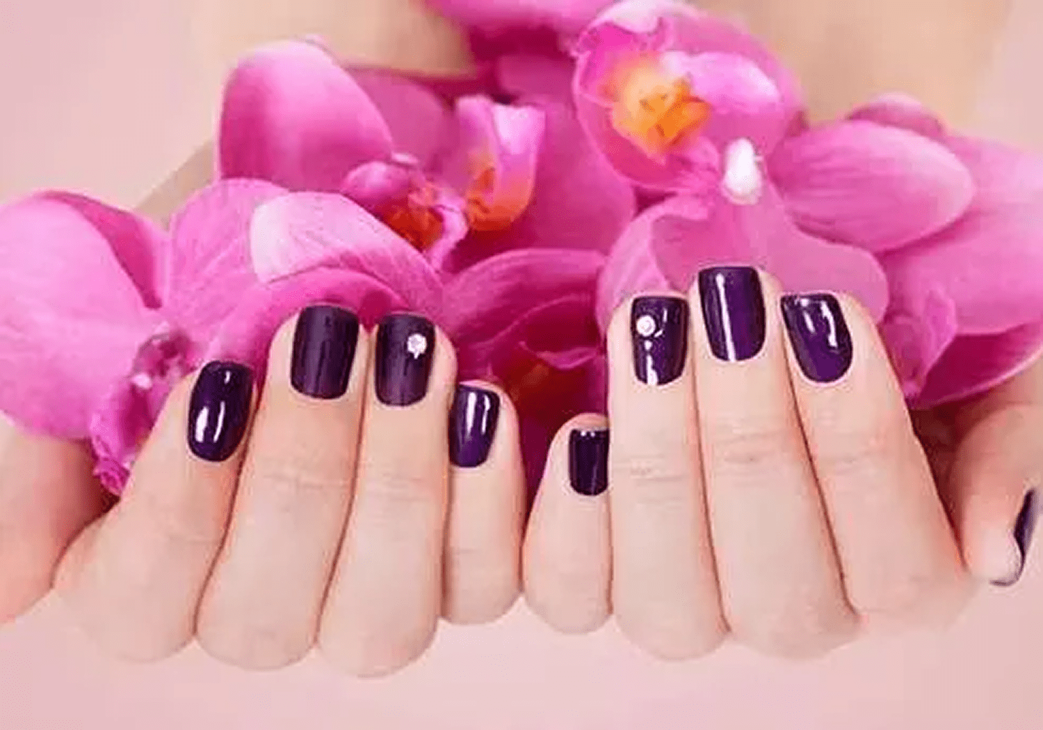 Manicured hands holding orchids
