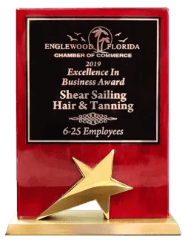 Excellence in Business Award, Englewood